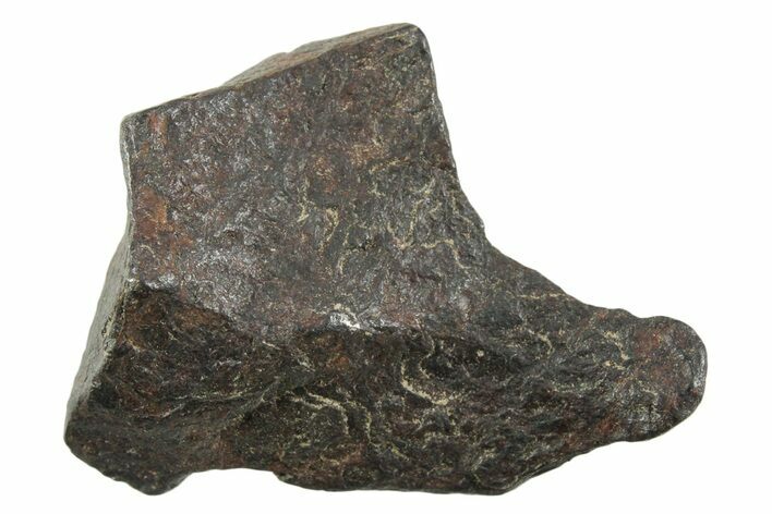 Canyon Diablo Iron Meteorite ( g) - Arizona #356114
